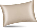 ALASKA BEAR Natural Silk Pillowcase, Hypoallergenic, 19 Momme, 600 Thread Count 100 Percent Mulberry Silk, Standard Size with Hidden Zipper (1,Champagne Gold)