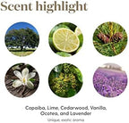 Young Living Stress Away Essential Oil Blend – 100% Pure, Vanilla-Lime Aroma, Diffuser & Topical Use, 5ml