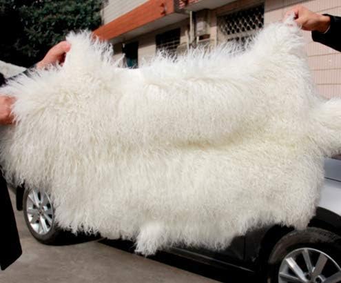 Genuine Tibetan/Mongolian Lambskin Sheepskin Hide Pelt Fur Throw Area Rug Plate Wool Carpet Sheep in Bedroom, Living Room 3.5x2Ft (White)