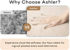 Ashler HOME DECO Ultra Soft Faux Rabbit Fur Chair Couch Cover Area Rug for Bedroom Floor Sofa Living Room Black 2 x 3 Feet