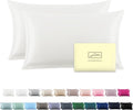 Silk Pillow Cases 2 Pack,Soft Breathable and Sliky Standard Size Pillow Cases Set of 2,Natural Mulberry Silk Pillowcase Set of 2 for Hair and Skin with Hidden Zipper (Ivory,20"X 26",2pcs)
