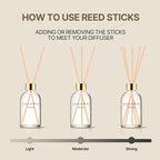 COCODOR Herbarium Reed Diffuser/Refreshing Air/6.7oz(200ml)/ Fragrance Scent Essential Oil Stick Diffuser Set for Bedroom Bathroom Home Décor