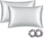 ALASKA BEAR Silk Pillowcase for Hair and Skin, Set of 2 Pure Genuine 22 Momme Mulberry Silk Pillow Cases Standard Size for Bliss Sleep Better Than Poly Satin, Zipper Closure(2pc,Silver)