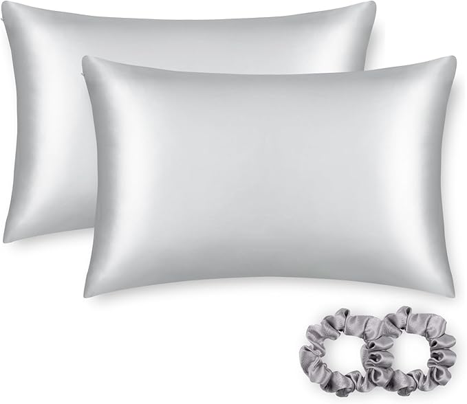 ALASKA BEAR Silk Pillowcase for Hair and Skin, Set of 2 Pure Genuine 22 Momme Mulberry Silk Pillow Cases Standard Size for Bliss Sleep Better Than Poly Satin, Zipper Closure(2pc,Silver)