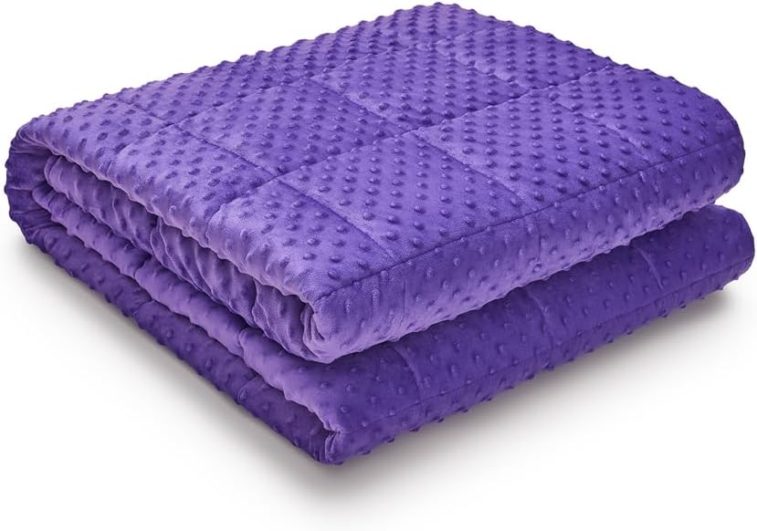 TONGDADA Minky Weighted Blanket | 60''x80'',15lbs | Cozy and Soft Minky Weighted Throw Blanket | Luxury Velvet with Premium Glass Beads | Violet Minky