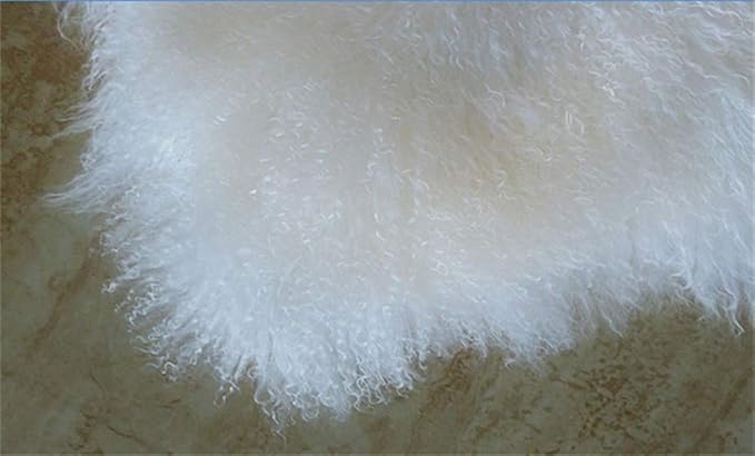 Genuine Tibetan/Mongolian Lambskin Sheepskin Hide Pelt Fur Throw Area Rug Plate Wool Carpet Sheep in Bedroom, Living Room 3.5x2Ft (White)