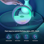 Dekala Arches Gradual Sunrise Alarm Clock with Wireless Charging, Sunset White Noise Sound Machine Loud Sunsire Alarm Clock for Heavy Sleepers Smart Ambient Lamp Sunrise App/Touch Control 2.4G WiFi