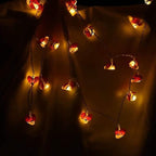 Solar Ladybug Lights, Waterproof Ladybird LED Solar Powered Decorative Fairy String Lights for Indoor Outdoor Bedroom Garden Summer Party Wedding Christmas Decoration (20FT 30Led)