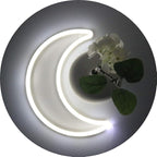 LED Cool White Moon Neon Light, Cute Neon Moon Sign,Christmas Room Decor Battery or USB Powered 5V Art LED Decorative Lights Night Lights Indoor for Home, Bedroom, Office,Dorm,Party (Cool White Moon)