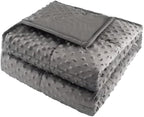 ALANSMA Reversible Weighted Blanket for All Season, Luxury Velvet, Warm and Cool, Adult 20Lb Grey Weighted Blanket, Enjoy Sleeping Anywhere(Grey,60"x80" 20lbs)