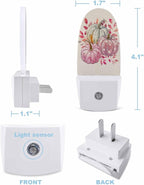 Night Light Plug into Wall, Fall Thanksgiving Day Peach Gray Pumpkins Botanical Leaves Hand Painted Beige Popsicle Shape Night Light LED Nightlight with Light Sensors for Kids Bedroom Hallway