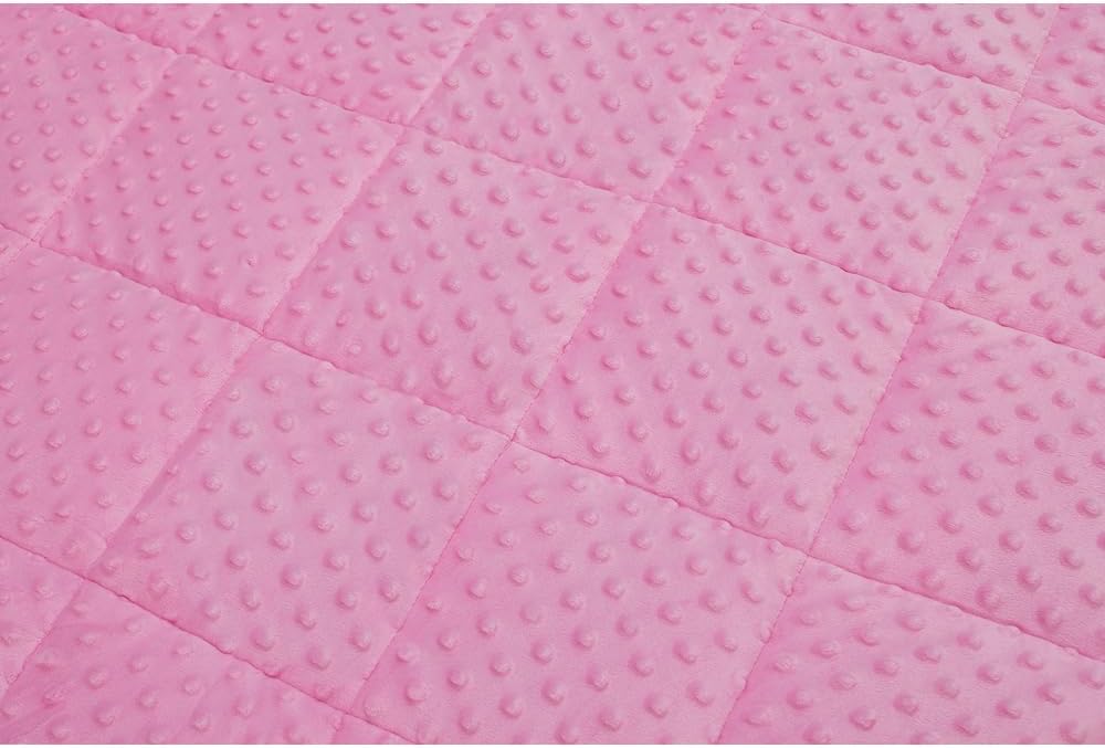 TONGDADA Minky Weighted Blanket | 40''x60'',10lbs | Cozy and Soft Minky Weighted Throw Blanket | Luxury Velvet with Premium Glass Beads | Pink Minky
