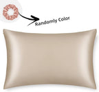 ALASKA BEAR Natural Silk Pillowcase, Hypoallergenic, 19 Momme, 600 Thread Count 100 Percent Mulberry Silk, King Size with Hidden Zipper (1,Champagne Gold)