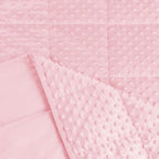 ALANSMA Reversible Weighted Blanket for All Season, Luxury Velvet, Warm and Cool, Adult Pink 7Lb Weighted Blanket, Enjoy Sleeping Anywhere(Pink,40"x60" 7lbs)