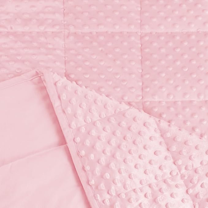 ALANSMA Reversible Weighted Blanket for All Season, Luxury Velvet, Warm and Cool, Adult Kids 20Lb Weighted Blanket, Enjoy Sleeping Anywhere(Pink,60"x80" 20lbs)