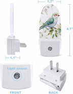 Spring Bird Pink Peach Blossom Night Light Plug into Wall, Watercolor Green Leaves Popsicle Shape Night Light Nightlight with Light Sensors for Kids Bedroom Hallway