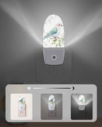 Spring Bird Pink Peach Blossom Night Light Plug into Wall, Watercolor Green Leaves Popsicle Shape Night Light Nightlight with Light Sensors for Kids Bedroom Hallway