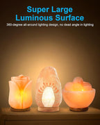 OuuKoo 20 Watt Himalayan Salt Lamp Bulbs, Rock Salt Night Light Bulbs with E12 Base for Salt Lamps, Scentsy Warmer Wax Diffuser, Dimmable, Warm White, High Temperature Resistance, 15 Packs