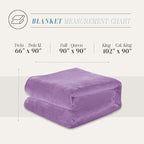 Elegant Comfort Luxury Velvety Feel Blanket, All-Season Lightweight Blanket, Ultra Plush, Soft, Cozy-Fuzzy Flannel Fleece for Couch, Sofa, Bed, Travel, Solid Design, Full/Queen, Lavender