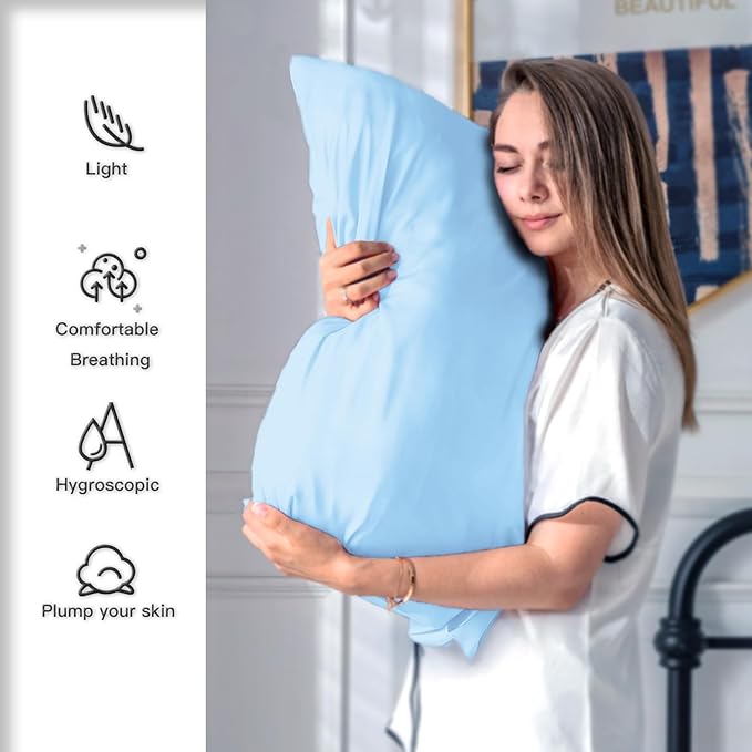 Silk Pillow Cases 2 Pack,Soft Breathable and Sliky Queen Size Pillow Cases Set of 2,Natural Mulberry Silk Pillowcase Set of 2 for Hair and Skin with Hidden Zipper (Sky Blue,20"X 30",2pcs)