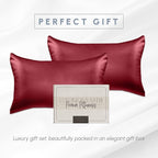 Elegant Comfort 2-Pack Cooling Viscose Satin Pillowcase Set with Hidden Zipper Closure, Silky Smooth for Best Hair and Skin Care-Beautiful Gift Box-2-Piece Satin Pillowcase Set, King, Burgundy