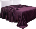 Elegant Comfort Luxury Velvety Feel Blanket, All-Season Lightweight Blanket, Ultra Plush, Soft, Cozy-Fuzzy Flannel Fleece for Couch, Sofa, Bed, Travel, Solid Design, Full/Queen, Purple