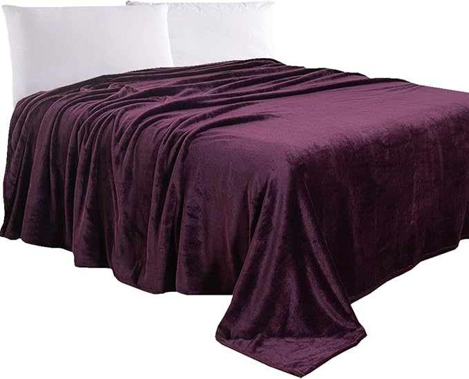 Elegant Comfort Luxury Velvety Feel Blanket, All-Season Lightweight Blanket, Ultra Plush, Soft, Cozy-Fuzzy Flannel Fleece for Couch, Sofa, Bed, Travel, Solid Design, Twin/Twin XL, Purple