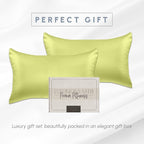 Elegant Comfort 2-Pack Cooling Viscose Satin Pillowcase Set with Hidden Zipper Closure, Silky Smooth for Best Hair and Skin Care-Beautiful Gift Box-2-Piece Satin Pillowcase Set, King, Pistachio Green