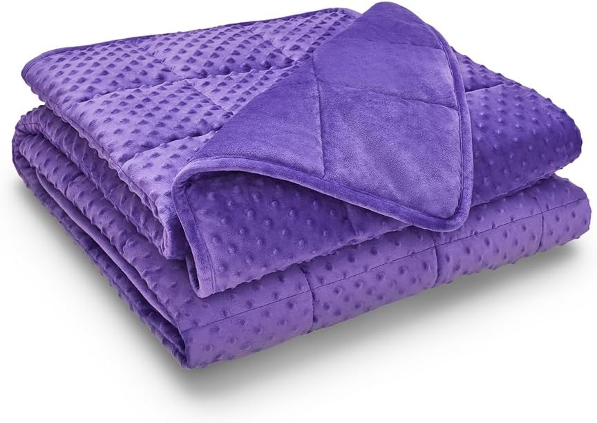 TONGDADA Minky Weighted Blanket | 40''x60'',10lbs | Cozy and Soft Minky Weighted Throw Blanket | Luxury Velvet with Premium Glass Beads | Violet Minky