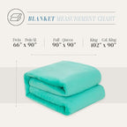 Elegant Comfort Luxury Velvety Feel Blanket, All-Season Lightweight Blanket, Ultra Plush, Soft, Cozy-Fuzzy Flannel Fleece for Couch, Sofa, Bed, Travel, Solid Design, Full/Queen, Tiffany
