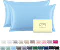 Silk Pillow Cases 2 Pack,Soft Breathable and Sliky Queen Size Pillow Cases Set of 2,Natural Mulberry Silk Pillowcase Set of 2 for Hair and Skin with Hidden Zipper (Sky Blue,20"X 30",2pcs)