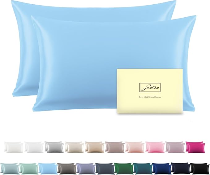 Silk Pillow Cases 2 Pack,Soft Breathable and Sliky Standard Size Pillow Cases Set of 2,Natural Mulberry Silk Pillowcase Set of 2 for Hair and Skin with Hidden Zipper (Sky Blue,20"X 26",2pcs)