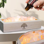 Himalayan Pink Salt Lamp Diffuser with Wood Base - 300g Natural Salt, USB Powered, Warm Light & 10ml Passion Fruit Essential Oil Set for Aromatherapy, Relaxation, Meditation, Home Decor, Gifts