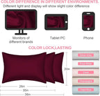 Mulberry Silk Pillow Cases 2 Pack Queen Size 20x30 Inches with Hidden Zipper, Ultra Smooth and Soft Breathable Cooling Silk Satin Pillowcase Set of 2, Better for Hair and Skin, Gifts for Women Men