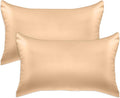 Elegant Comfort 2-Pack Cooling Viscose Satin Pillowcase Set with Hidden Zipper Closure, Silky Smooth for Best Hair and Skin Care-Beautiful Gift Box-2-Piece Satin Pillowcase Set, King, Champagne