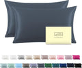 Silk Pillow Cases 2 Pack,Soft Breathable and Sliky Queen Size Pillow Cases Set of 2,Natural Mulberry Silk Pillowcase Set of 2 for Hair and Skin with Hidden Zipper (Space Grey,20"X 30",2pcs)