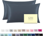 Silk Pillow Cases 2 Pack,Soft Breathable and Sliky Queen Size Pillow Cases Set of 2,Natural Mulberry Silk Pillowcase Set of 2 for Hair and Skin with Hidden Zipper (Space Grey,20"X 30",2pcs)