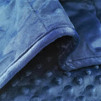 ALANSMA Reversible Weighted Blanket for All Season, Luxury Velvet, Warm and Cool, Adult 20Lb Blue Weighted Blanket, Enjoy Sleeping Anywhere(Blue,60"x80" 20lbs)