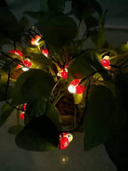 Solar Ladybug Lights, Waterproof Ladybird LED Solar Powered Decorative Fairy String Lights for Indoor Outdoor Bedroom Garden Summer Party Wedding Christmas Decoration (20FT 30Led)