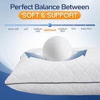 1 MIDDLE ONE Throw Pillows (Pack of 2, White), 24 x 24 Inches Decorative Pillow Insert for Couch, Sofa and Bed, Memory Foam Indoor Square Pillow Forms Stuffer