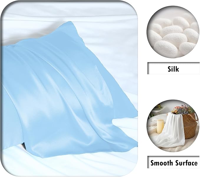 Natural Mulberry Silk Pillowcase for Hair and Skin Queen Size 20"X30" Pillow Case with Hidden Zipper Soft Breathable Smooth Cooling Silk Pillow Covers for Sleeping (Sky Blue,Queen,1Pcs)