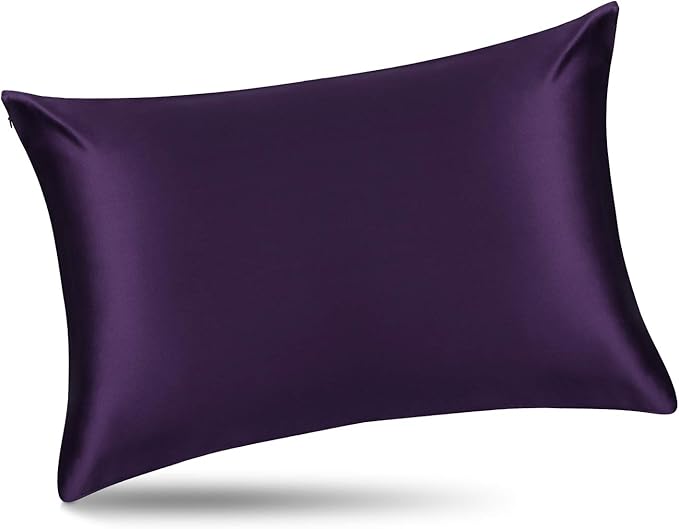 ALASKA BEAR Silk Pillowcase for Hair and Skin, Set of 2 Pure Genuine 22 Momme Mulberry Silk Pillow Cases King Size for Bliss Sleep Better Than Poly Satin, Zipper Closure(2pc, Dark Purple)