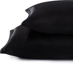 Satin Pillowcases with Zipper （20x30）,Queen Size Pillowcases Set of 2, Black Silk Pillowcase for Hair and Skin
