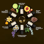 Folkulture Essential Oils Set for Diffuser | Manifestation & Mindfulness Aromatherapy | Set of 6 Calming Home Fragrance Oils - Sandalwood, Vanilla, Eucalyptus, Chamomile & More | 11:11 Make a Wish