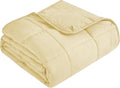 Topcee Weighted Blanket (3 lbs, 36" x 48") Cooling Throw Heavy Blanket for Sleeping Apply to 20-40 lbs, Soft Thick Breathable Blanket with Glass Bead, Easy Care