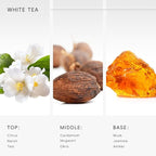 White Tea Aroma Essential Oil Blend Sublime Scent, Hotel Diffuser Oil Inspired by The White Tea Scent - Premium Fragrance Oil No. SA62489172 for Ultrasonic and Waterless Diffusers - 250 mL, 8 fl oz