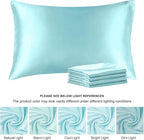 BEDELITE Satin Pillowcase for Hair and Skin, Super Soft Similar to Silk Pillow Cases 4 Pack with Envelope Closure, Cooling Pillowcases for Women Men (20"x26" Standard Size, Blue)