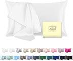 Natural Mulberry Silk Pillowcase for Hair and Skin Queen Size 20"X30" Pillow Case with Hidden Zipper Soft Breathable Smooth Cooling Silk Pillow Covers for Sleeping (White,Queen,1Pcs)