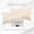 Elegant Comfort 2-Pack Cooling Viscose Satin Pillowcase Set with Hidden Zipper Closure, Silky Smooth for Best Hair and Skin Care-Beautiful Gift Box-2-Piece Satin Pillowcase Set, King, Cream