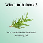 Pure Rosemary Oil for Hair Skin and Nails - 100% Pure Undiluted Rosemary Essential Oil with Dropper for Topical Uses Aromatherapy Diffusing and Home and Beauty DIYs - Vegan and Cruelty Free (1 Fl Oz)